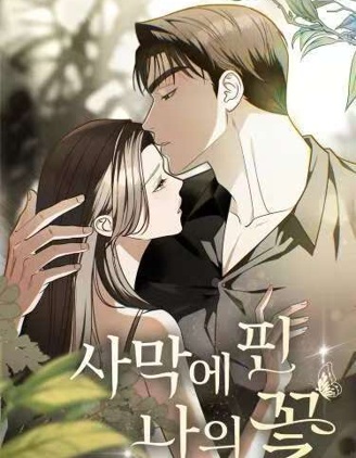 我那绽放的沙漠之花~